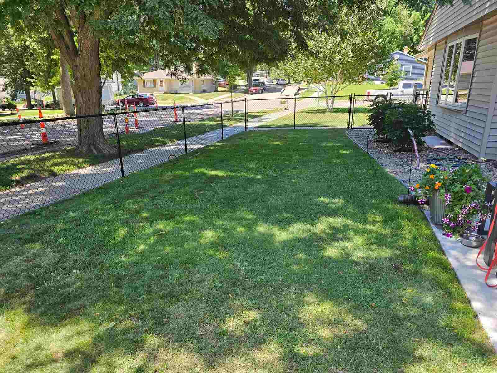 Black chain link fence along a tree-lined side yard