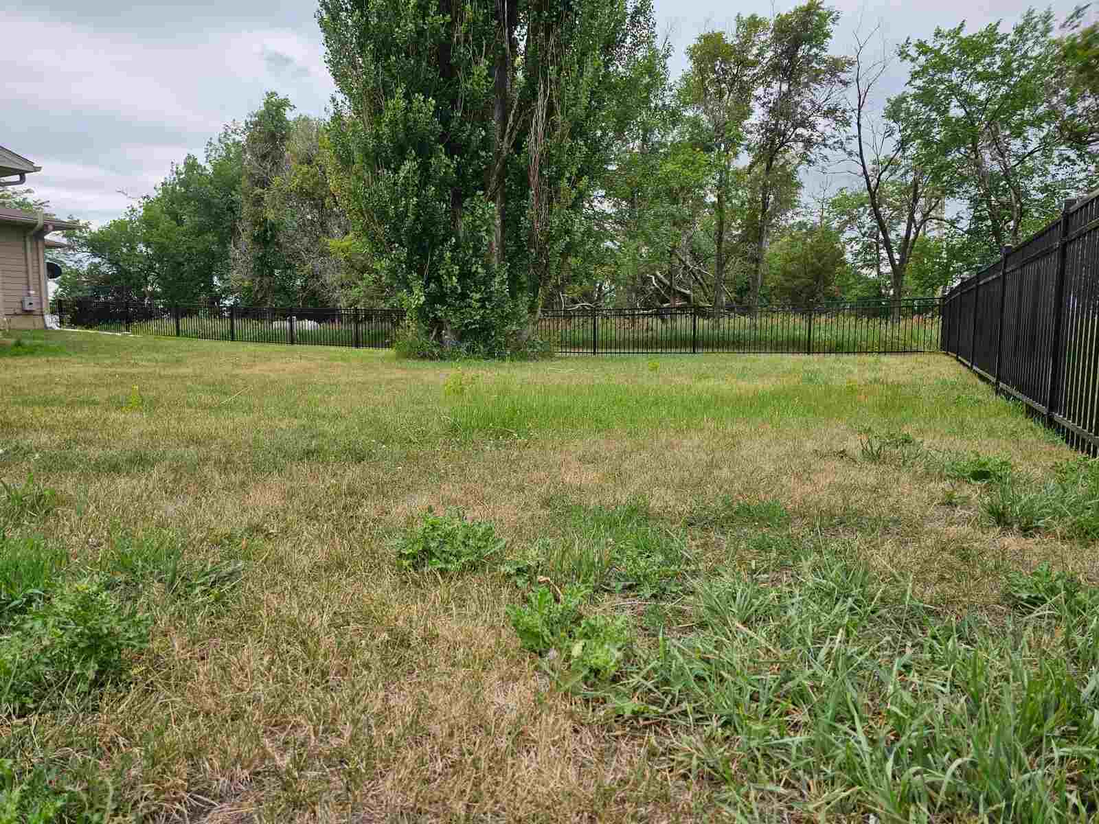 Black ornamental iron fence along an open field tree line