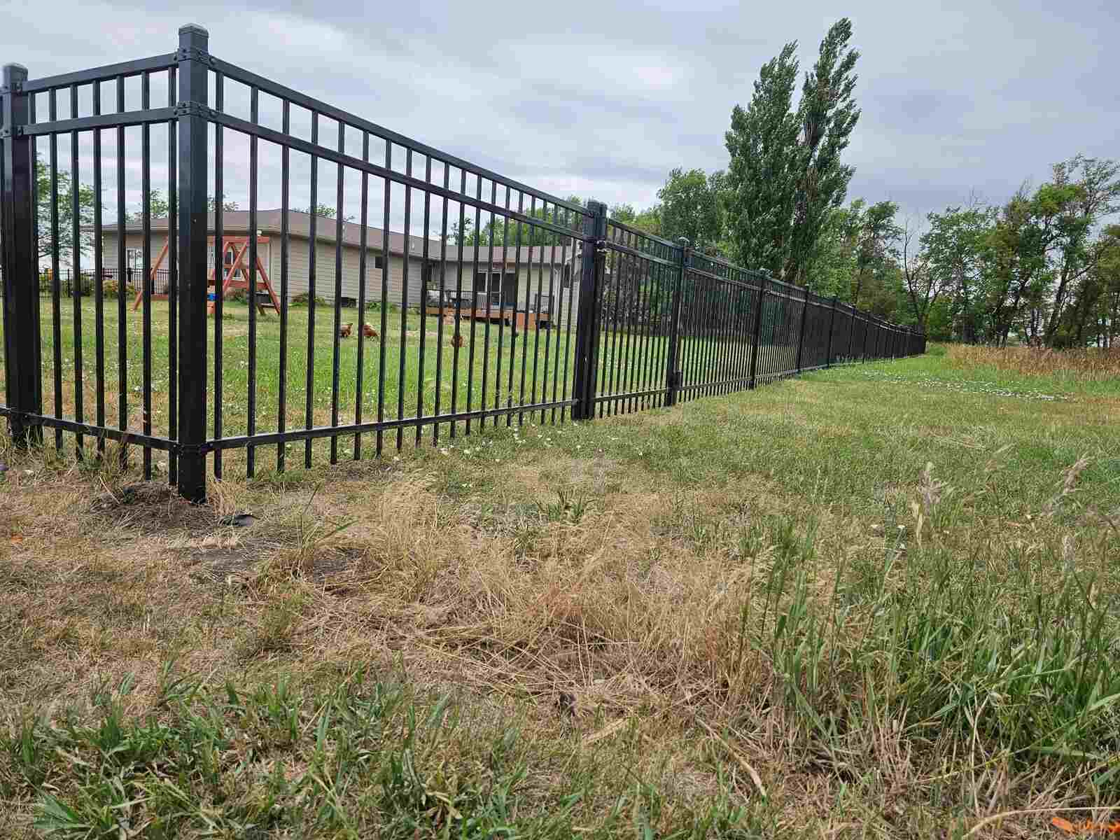 Black ornamental iron fence in a larger yard