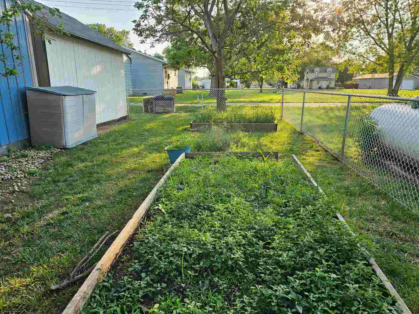 Galvanized chain link around backyard garden beds