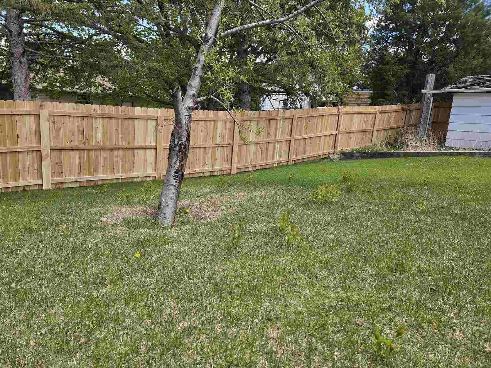 Cedar privacy fence corner post by a tree