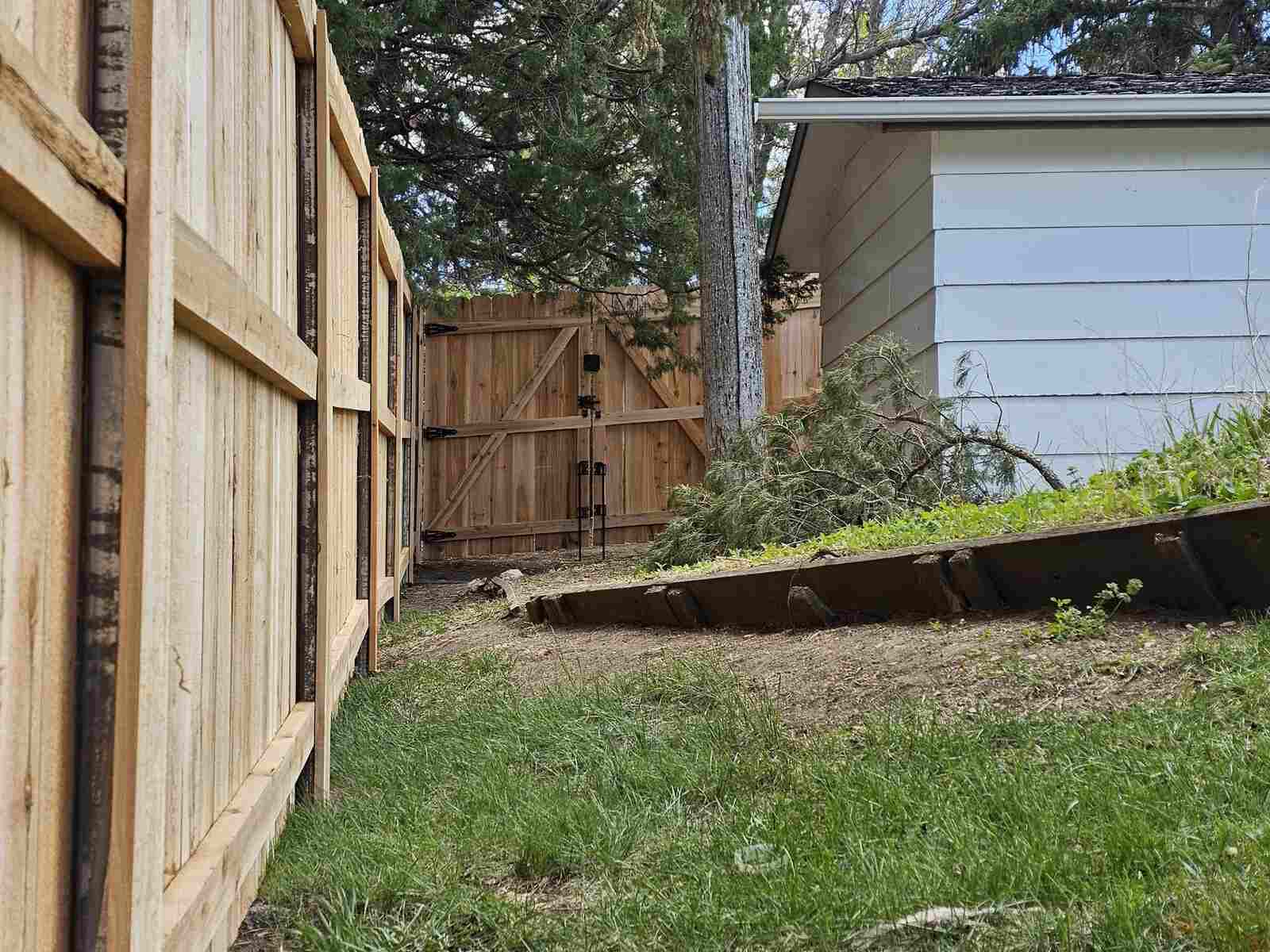 Cedar privacy fence corner with a tall gate by the shed