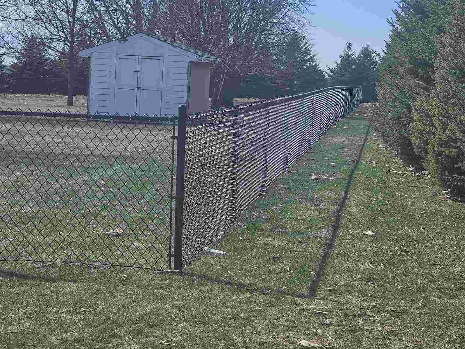 Black chain link fence by a shed and evergreens